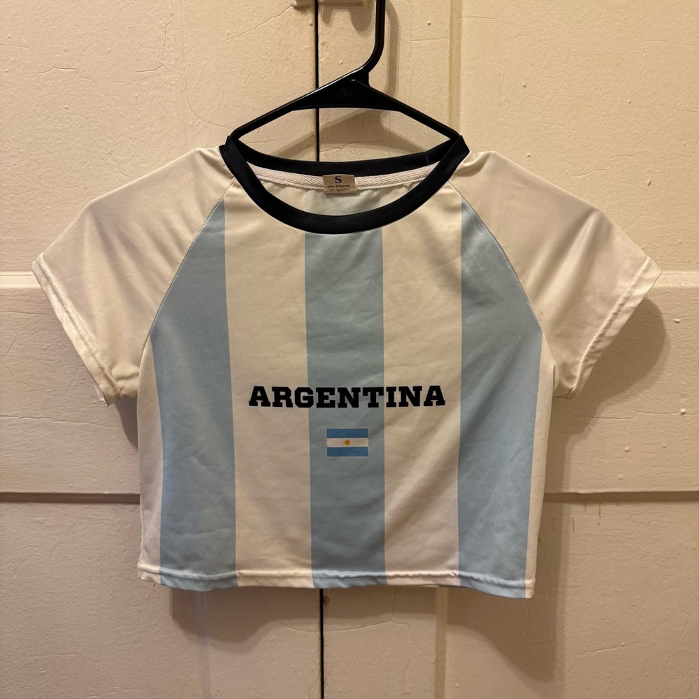 Argentina Blue and White Striped Short Sleeve Crop Top Shirt